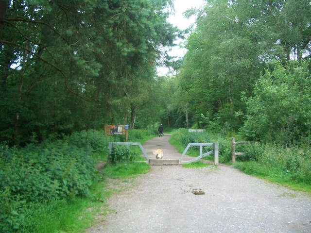 St Leonards Forest – 8.4km